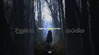 දිනන්න ඕනනම් | Sinhala Motivation Video | Motivation Short | Video | Sigma Attitude