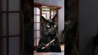 Ты тоже забывал?😂 