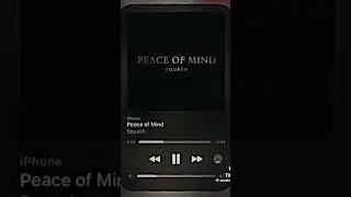 Squash PEACE OF MIND