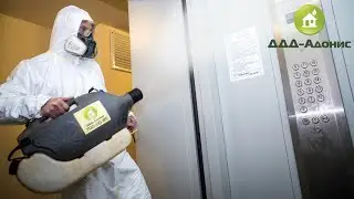 Дезинфекция офисов