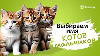 ⭐ Names for male cats ⭐ noble, unusual, cool, beautiful