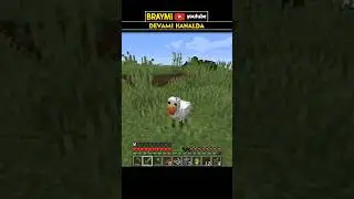Yakalanmayan tavuk Minecraft