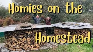 HARD WORK RUNNING 4 ACRES!!-  #homestead #renovating #selfsufficiency