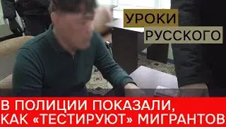 Как мигранты 