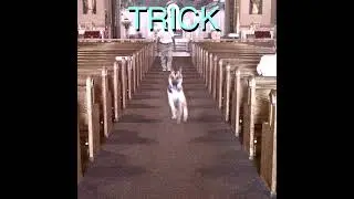Alex G - Mary (DRILL REMIX)