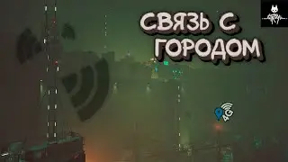 Связь с городом - Stray #5