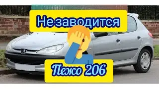 Пежо 206 не заводится нет питания