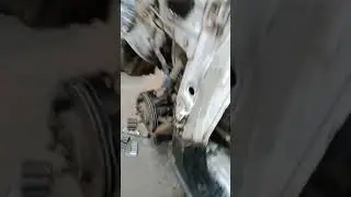 28 ноября 2021 г.