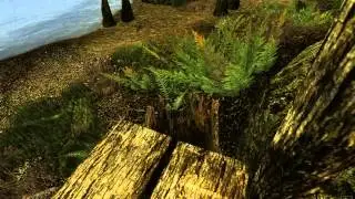 The Elder Scrolls III: Morrowind - MGEXE