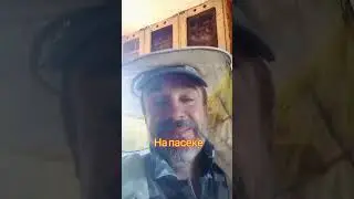 Качаю первый в этом году мед.