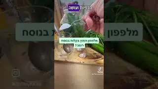 מלפפון חמוץ במלח: מתכון רומני בקלות
