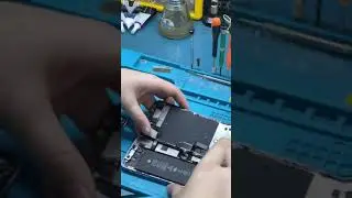 True Tone | Переписываем на IPHONE 11. Разборка устройств.