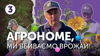 Пропізохлор+Тербутилазин+Гліфосат на сходах соняшнику. Результат? | Агрономе, ми вбиваємо врожай!