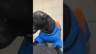 На прогулку 
