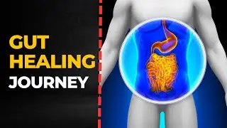 How To Heal Your Gut Effectively