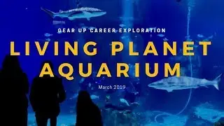 Living Planet Aquarium - GEAR UP Career Exploration (March 2019)