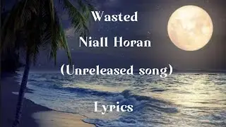 Niall Horan - wasted (unreleased song) - (lyrics)