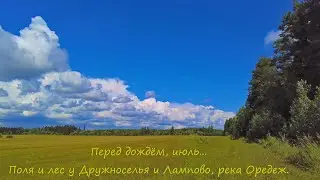 Перед дождём, июль... Поля и лес у Дружноселья и Лампово, река Оредеж.