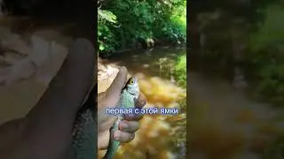 #мормышинг