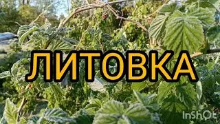 ЛИТОВКА.Путешествие выходного дня .Часть 2.