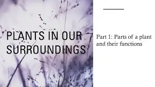 Plants in our surroundings - Parts of a Plant | Class 4 | ICSE | Science Olympiad | Quick Revision