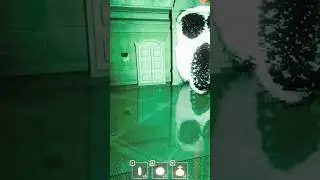 DOORS When Ambush Has Other Plans (RTX ON) 