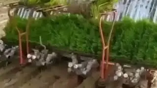 ИСЛОМИЙ СУЗЛАР