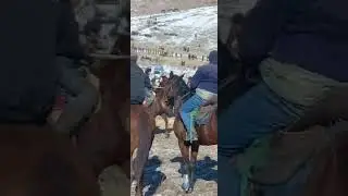 бузкаши деваштич росровут б саидназир асп бо номи  дубай 15 01 23 🐐🇹🇯🇺🇿🇰🇬🇰🇿👍