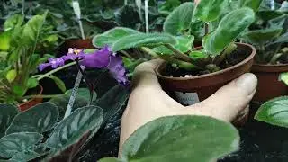 Работа с заказами. Стеллажи в конце марта.