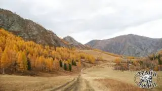 Незабываемая природа Алтая...