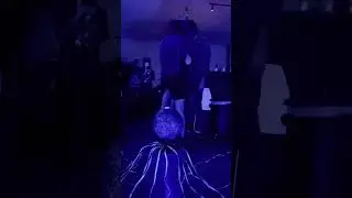 Dillon Bastan - Criticality Performance