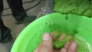 Industrial Vegetable and Fruit Grinding Machine | Leafy Vegetable Grinder