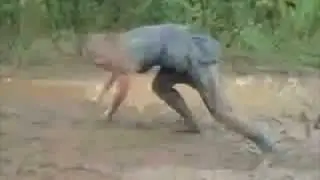 молодая девка ползает в грязи