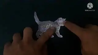 Montesori Terminologi of Animal Card