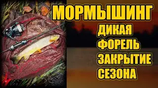 МОРМЫШИНГ \ ДИКАЯ ФОРЕЛЬ.. ЗАКРЫТИЕ СЕЗОНА
