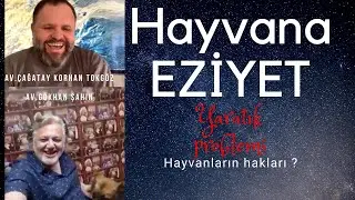 Hayvanlara eziyet eden yaratıklar neden cezalandırılmıyor ? Hayvanlar eşya değil !