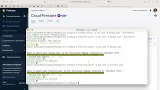 Firebase | Firestore - Importar y Exportar la base de datos