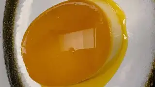 How to Make Creamy Leche Flan