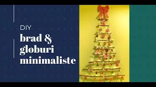 DIY - Brad & decoratiuni eco-friendly
