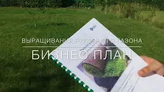 Выращивание рулонного газона: бизнес план