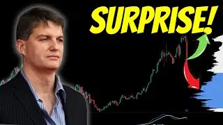 Famous Black Swan Investor Shocking Stock Market...