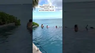 Подарочная поездка от Травориум на Гавайи 🤩