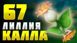 ЛИЛИЯ КАЛЛА Геншин импакт Где найти лилия калла Геншин импакт