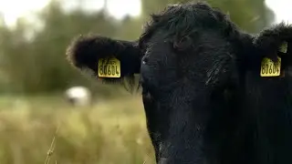 Climate Friendly Farming (Episode 5, Season 20)