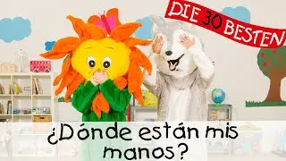 🇪🇸 ¿Dónde están mis manos? [Meine Hände sind verschwunden] || Canciones para niños 👋