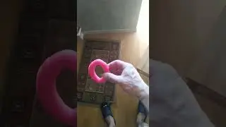 прокачка большего пальца