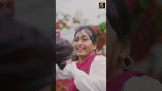 Bhulo Bhulo Hu To Duniya Tara Ma - Naresh Thakor | Dil Maru Bhinjayu Varsad Ma | @RoyalDigital