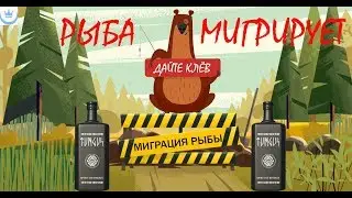 Русская рыбалка 4 (РР4)- РЫБА МИГРИРУЕТ СЕГОДНЯ?