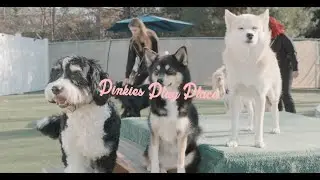 Pinkie's Play Place - Promo video
