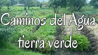 Caminos del Agua, coherencia de ser, Tierra Verde